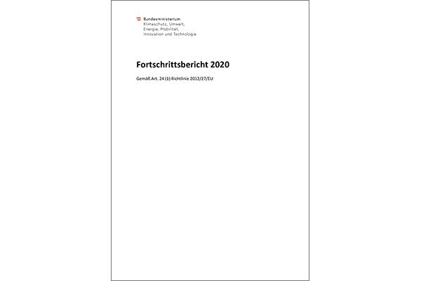 Titelblatt "Fortschrittsbericht 2020" zur Energieeffizienzrichtlinie