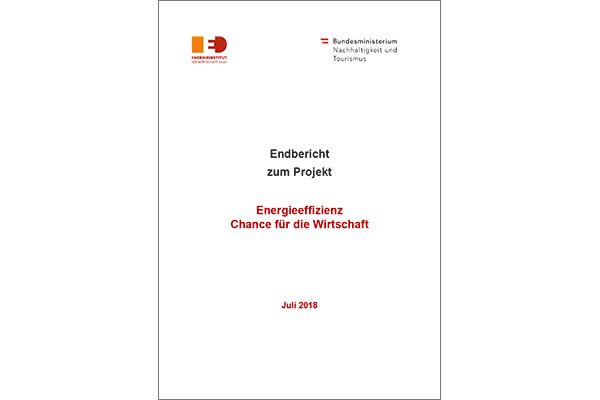 Titelblatt des Berichts "Energieeffizienz - Chance für die Wirtschaft"