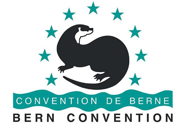 Logo Bern Convention