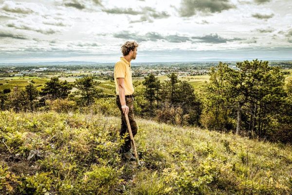 Ein junger Mann blick von einem Hügel aus in eine grüne Landschaft