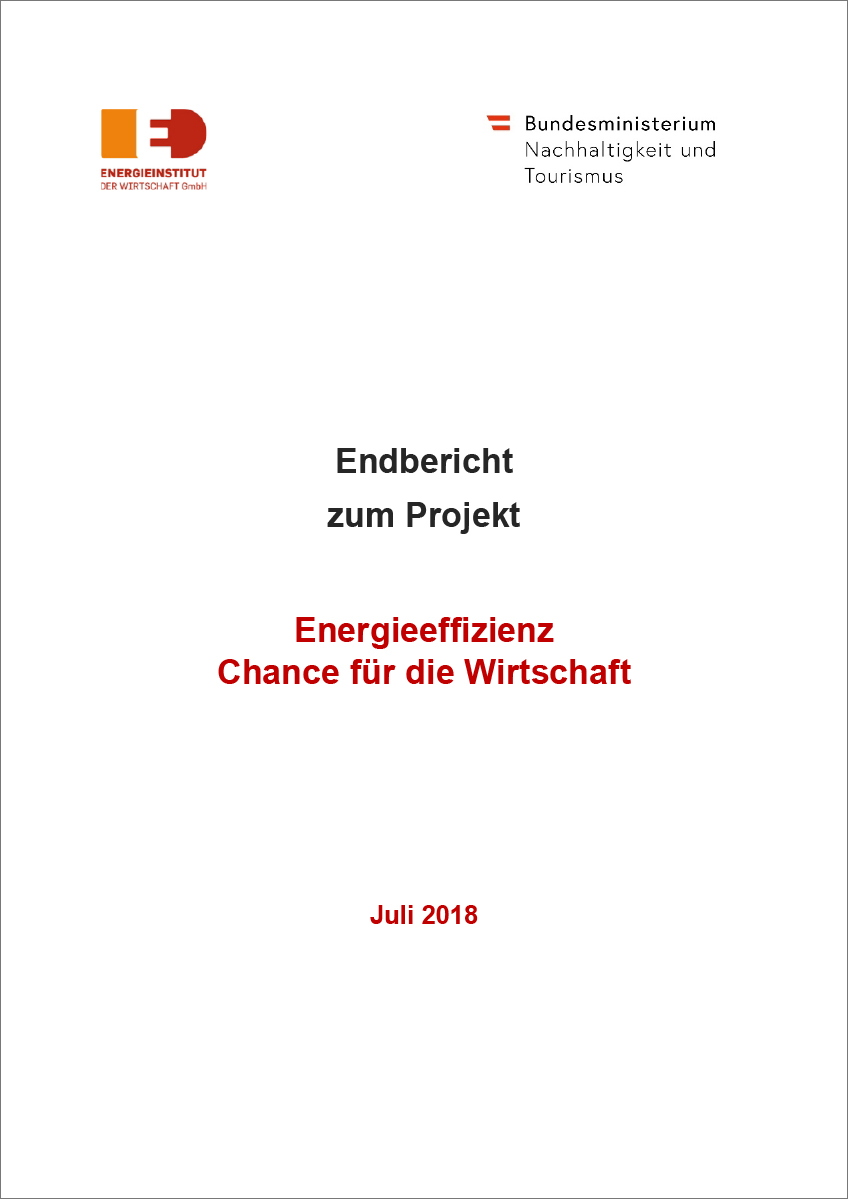 Titelblatt des Berichts "Energieeffizienz - Chance für die Wirtschaft"