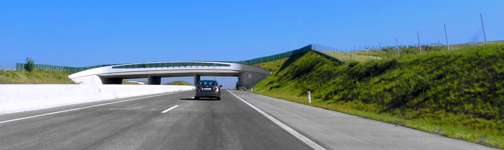 Eine Grünbrücke führt über die Autobahn